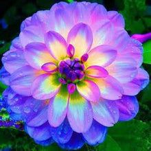 Load image into Gallery viewer, Flower vary Colors