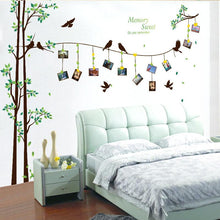 Load image into Gallery viewer, Large photo tree Wall Stickers home decor